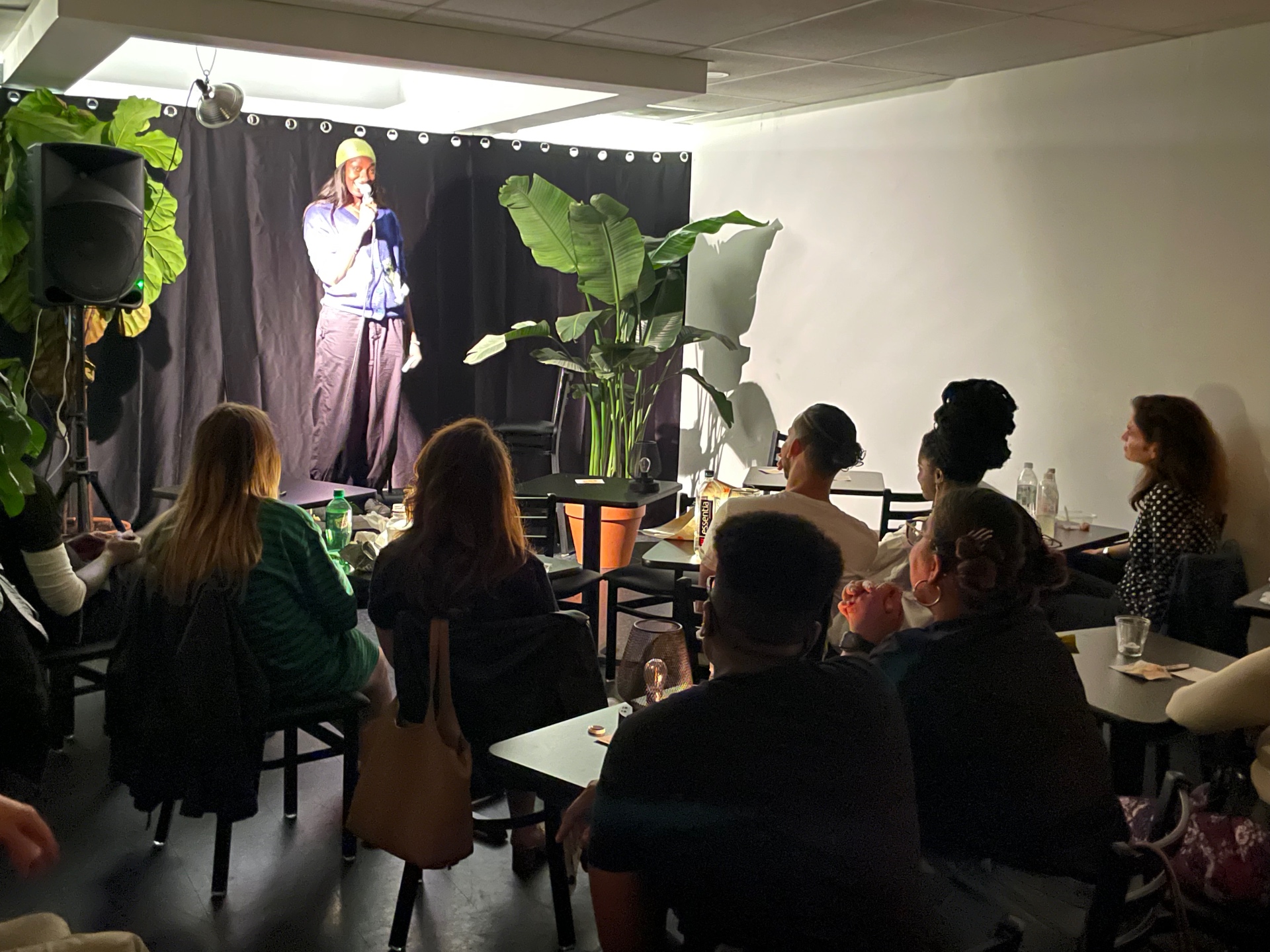 Comedy Show
